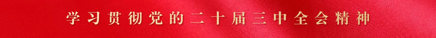 学习贯彻党的二十届三中全会精神